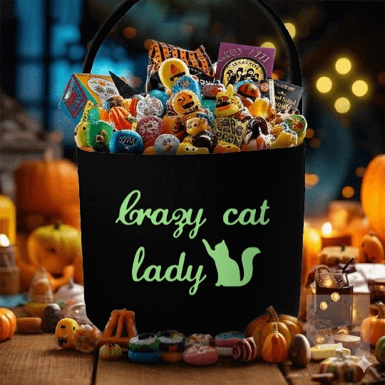 Crazy Cats LOVER Lady Fabric Baskets