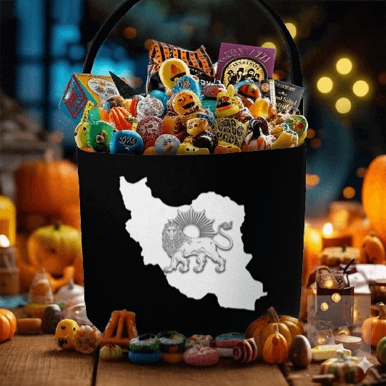 Iran Lion Sun Fabric Baskets