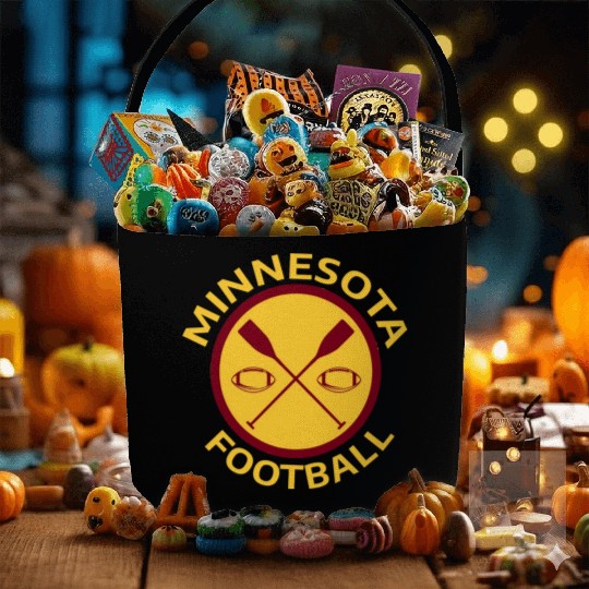 Minnesota Fabric Baskets
