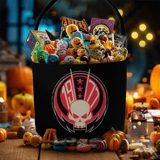 1977 Rebel Skull Fabric Baskets