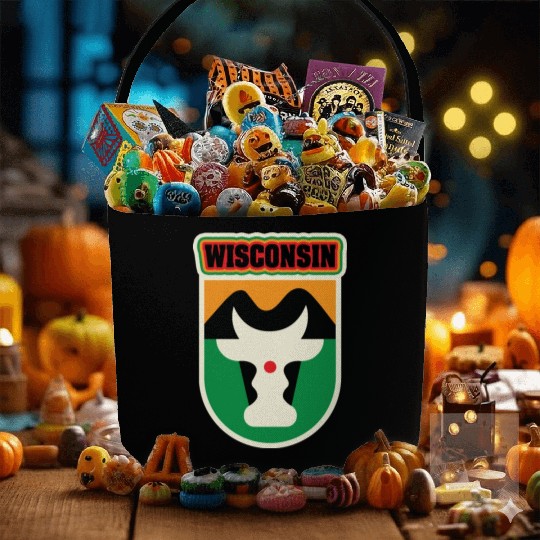 US States WISCONSIN Fabric Baskets