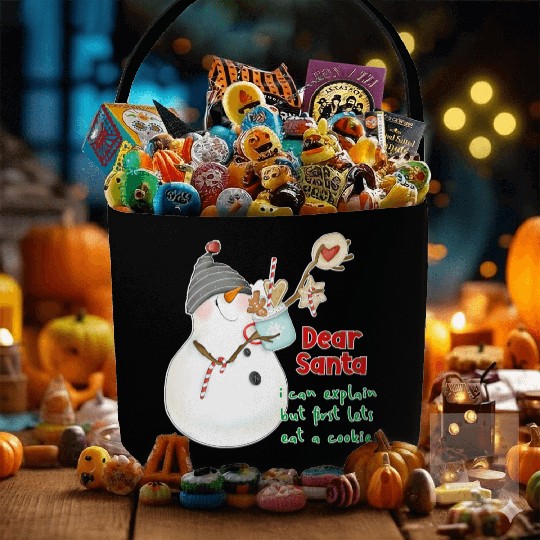 Dear Santa I can explain Fabric Baskets