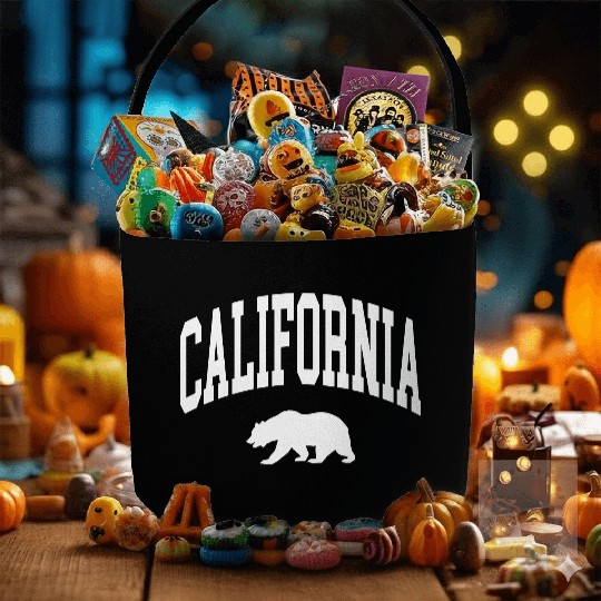 California Bear Fabric Baskets