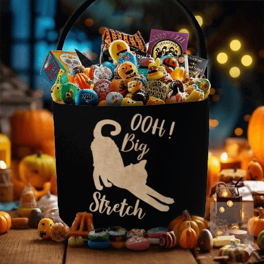 Big Stretch, Cat Lover Fabric Baskets