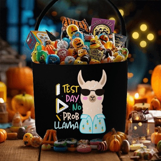 Back to School in test day with a No-Stress Llama Fabric Baskets