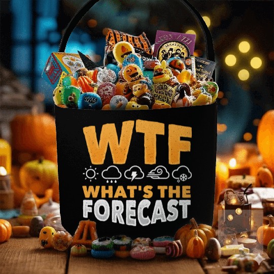 WTF What's The Forecast Meteorologist Meteorology Fabric Baskets