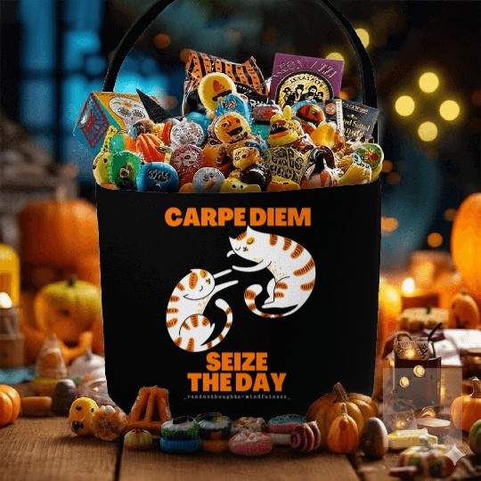 Cats Lover Carpe Diem Seize The Day Fabric Baskets