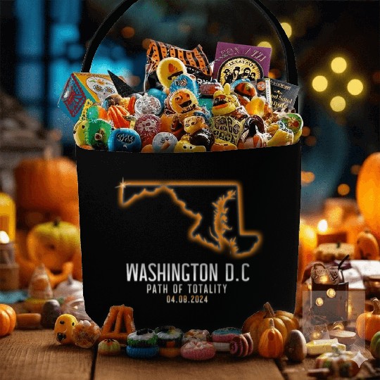 Washington DC Path Of Totality 4.8.24 EclipseWashi Fabric Baskets