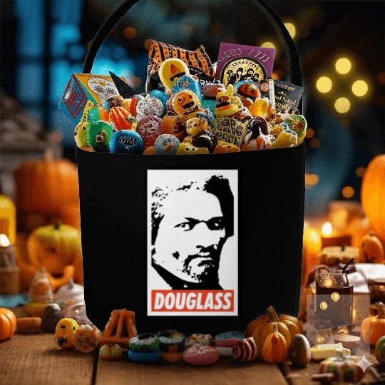 Frederick Douglass Fabric Baskets