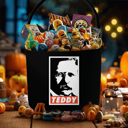 Teddy Roosevelt Fabric Baskets