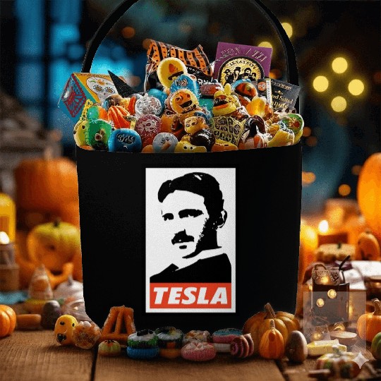 Nikola Tesla Fabric Baskets