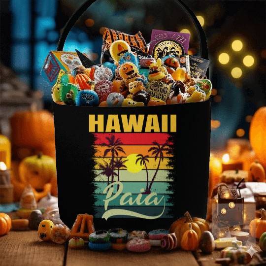 Friends Summer Travel Family Vacation PAIA Hawaii Fabric Baskets