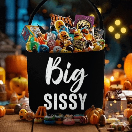 Big Sissy Fabric Baskets