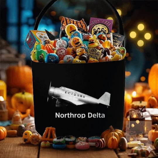 Northrop Delta Aircraft Fabric Baskets