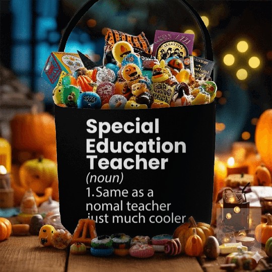 Special Education Teacher Definition Funny Fabric Baskets
