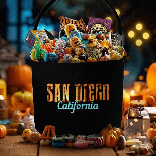 San Diego California Vintage Souvenir Fabric Baskets