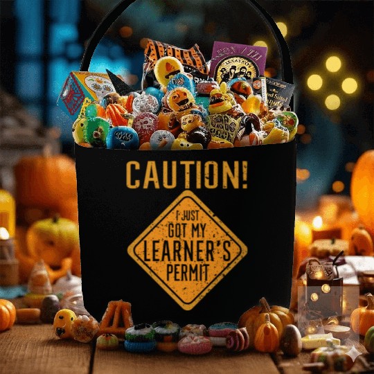 I just got my learner's permit funny girl driver Fabric Baskets