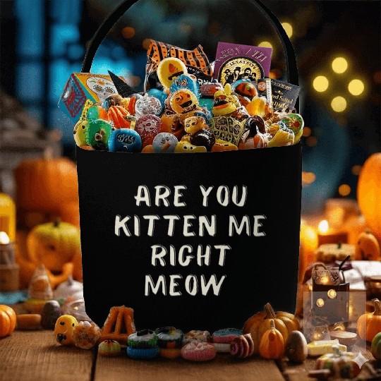 Are you kitten me right meow, Cat design Fabric Baskets