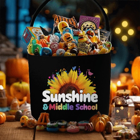 Sunshine and Middle School Back to School Fabric Baskets