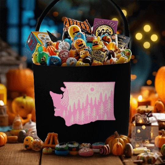 Washington DC Wild Outline State Fabric Baskets