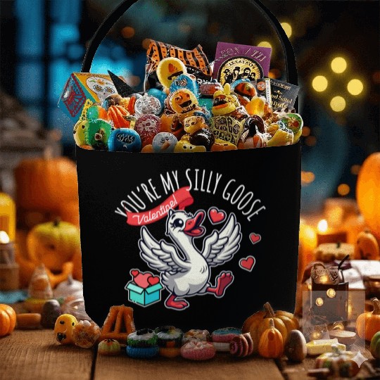 You’re My Silly Goose – Funny Valentine Design Fabric Baskets