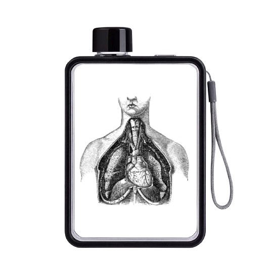 Torso medical illustration Flat Water Bottles