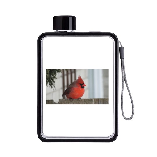 Brilliant Cardinal Bird 2 Flat Water Bottles