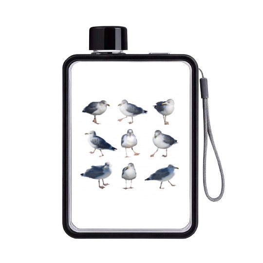 seagull sea ocean sailing coast Flat Water Bottles