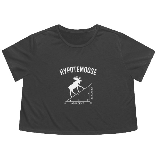 hypotemoose, math teacher hypotemoose Flowy Cropped Tees