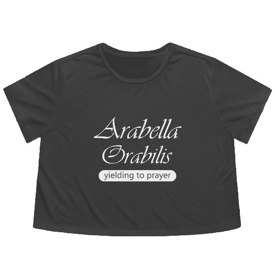 Arabella Music Arctic Monkeys Arctic Band Flowy Cropped Tees