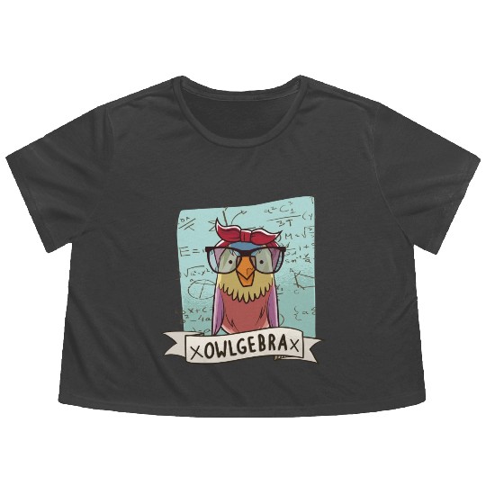 Owlgebra Owl Nerd Math Teacher Flowy Cropped Tees