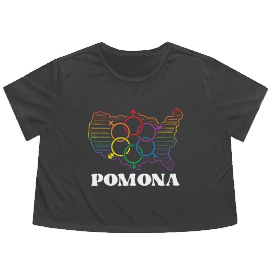 Pomona Pride Month Pride Flag LGBT Community LGBTQ Flowy Cropped Tees