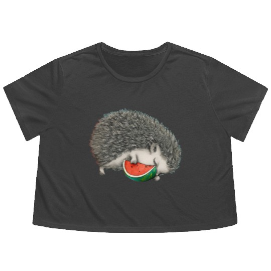 Hedgehog Sleeping With Watermelon Flowy Cropped Tees