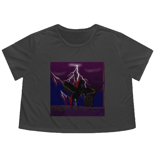 Pegasus Storm at Night Flowy Cropped Tees