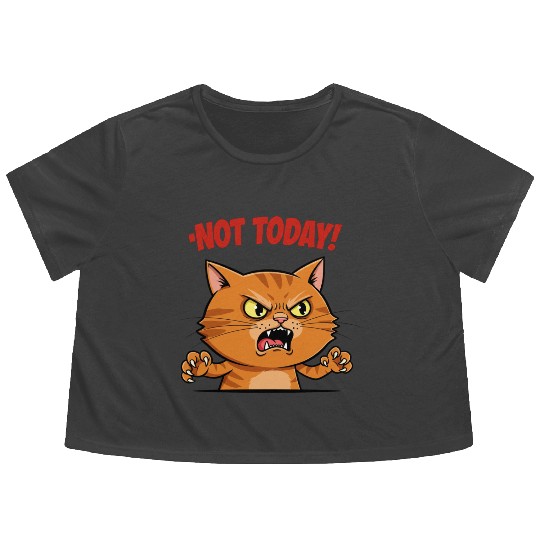 Not Today Angry Cat Flowy Cropped Tees | Funny Grumpy Cat Mem