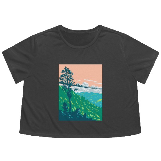 Great Smoky Mountains National Park in Gatlinburg  Flowy Cropped Tees