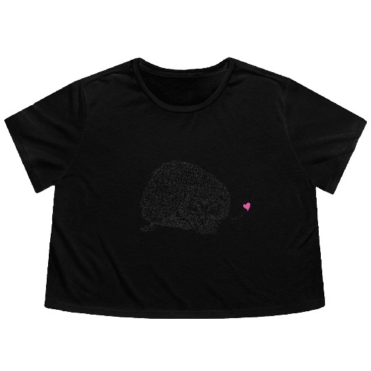 Hedgehog Flowy Cropped Tees