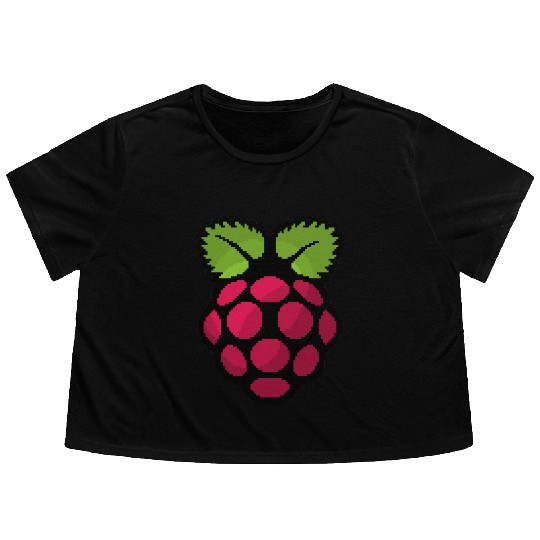 Raspberry Pi Pixel Logo Flowy Cropped Tees
