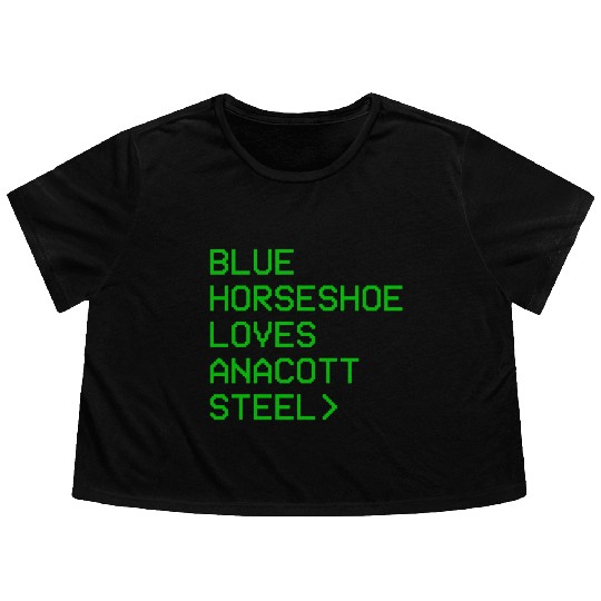 Blue Horseshoe Loves Anacott Steel Flowy Cropped Tees