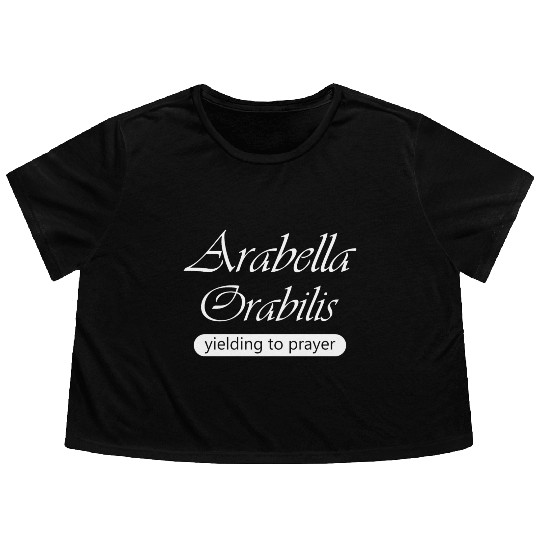 Arabella Music Arctic Monkeys Arctic Band Flowy Cropped Tees