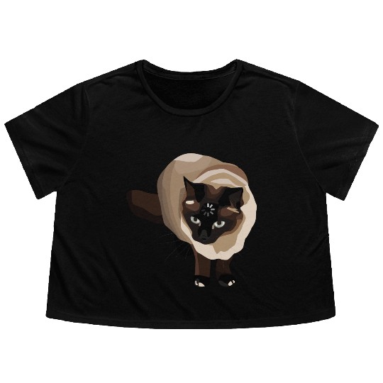 Loading Cat Meme Flowy Cropped Tees