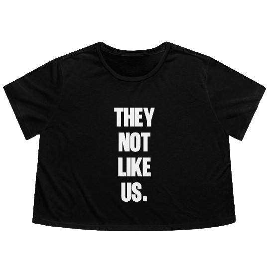 They not like us kendrick Funny Sarcasm, Offensive Flowy Cropped Tees