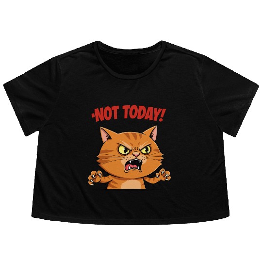 Not Today Angry Cat Flowy Cropped Tees | Funny Grumpy Cat Mem