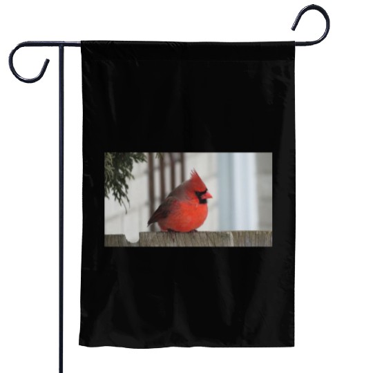 Brilliant Cardinal Bird 2 Garden Flags
