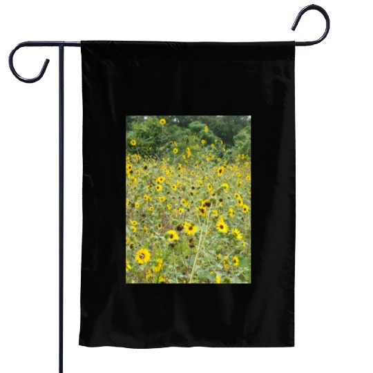 My Photography - Swamp Sunflowers in Texas Garden Flags