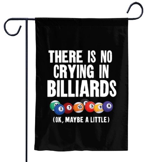 Billiards Pool Player Ball There Garden Flags