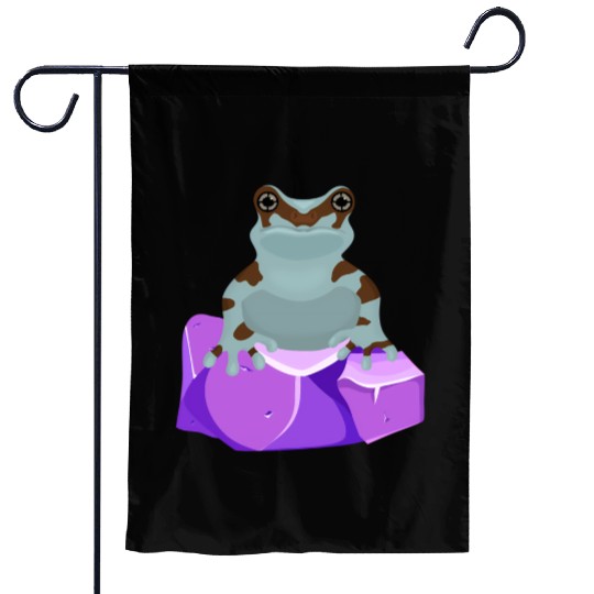 Frog Crystal Amethyst Gemstone For Toad Owners Garden Flags