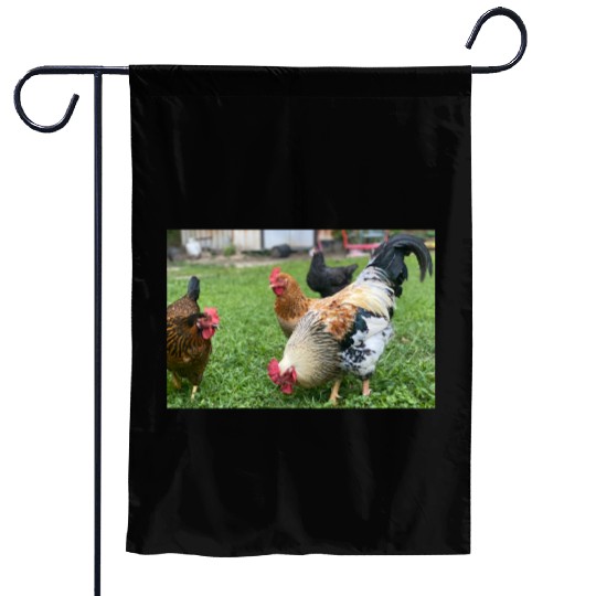 Farmyard Rooster and Chickens Illustration Garden Flags