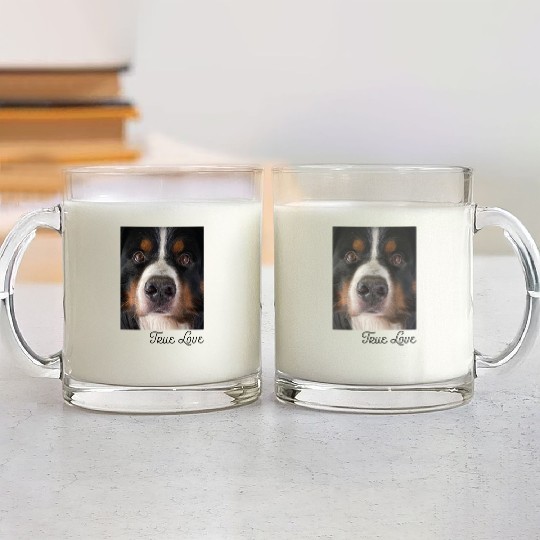 Bernese Mountain Dog Glass Mugs