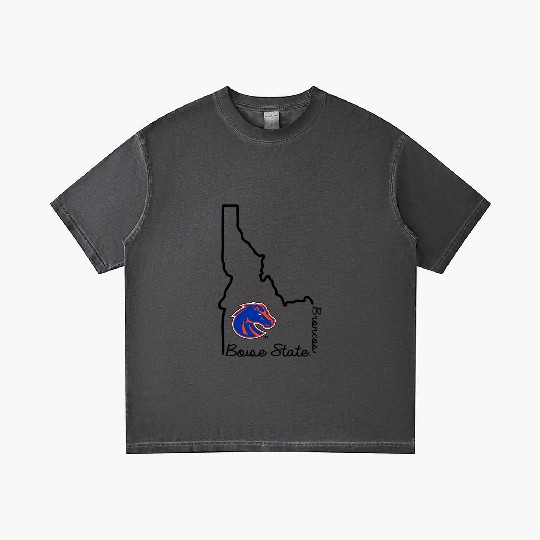 Boise State Broncos Idaho Offilly Gradient T Shirts